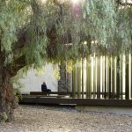 2017 ASLA GENERAL DESIGN AWARD OF HONOR: Windhover Contemplative Center by Andrea Cochran Landscape Architecture