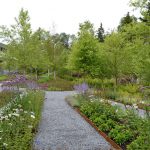 2017 ASLA 住宅设计类荣誉奖：东北港，沙漠山上的景观复原，美国 / Stephen Stimson Associates Landscape Architects, Inc.