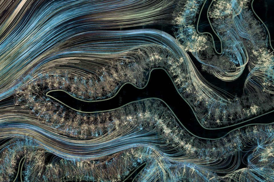 Visual Cortex Greg Dunn
