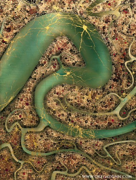 Glia and Blood Vessels Greg Dunn