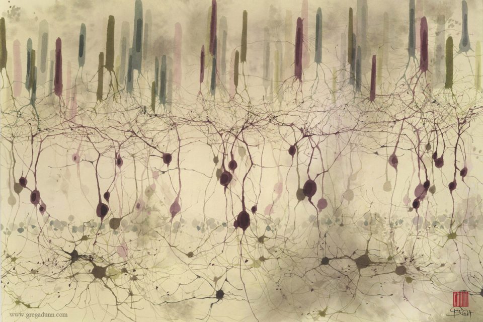 retina in inks Greg Dunn