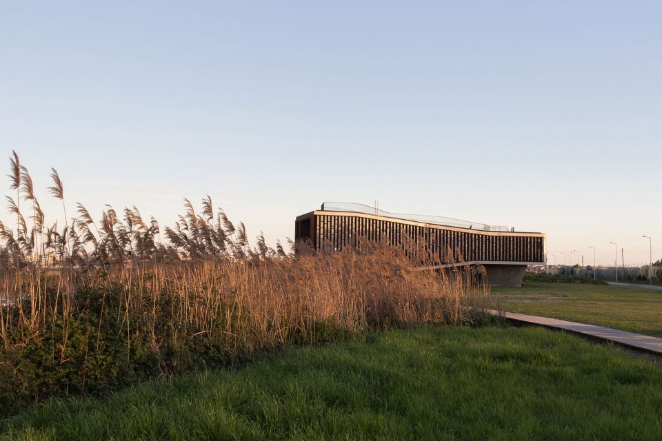 . the surrounding-machado costa observatory