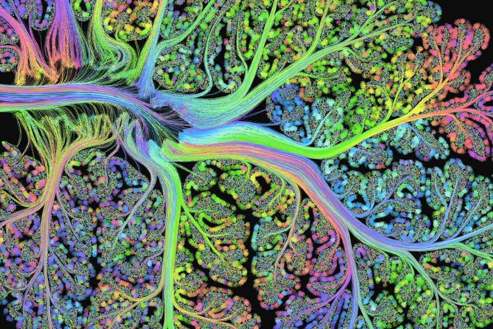 Cerebellar Folia Greg Dunn