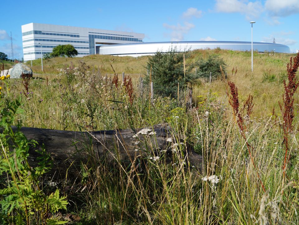 MAX IV Laboratory Landscape Snøhetta