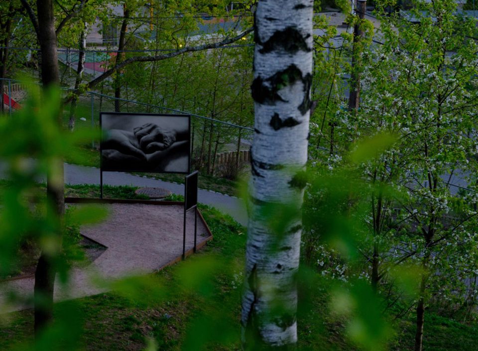 Escape snohetta