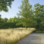 2017 ASLA 居住设计杰出奖：伯明翰居住区 / Andrea Cochran Landscape Architecture