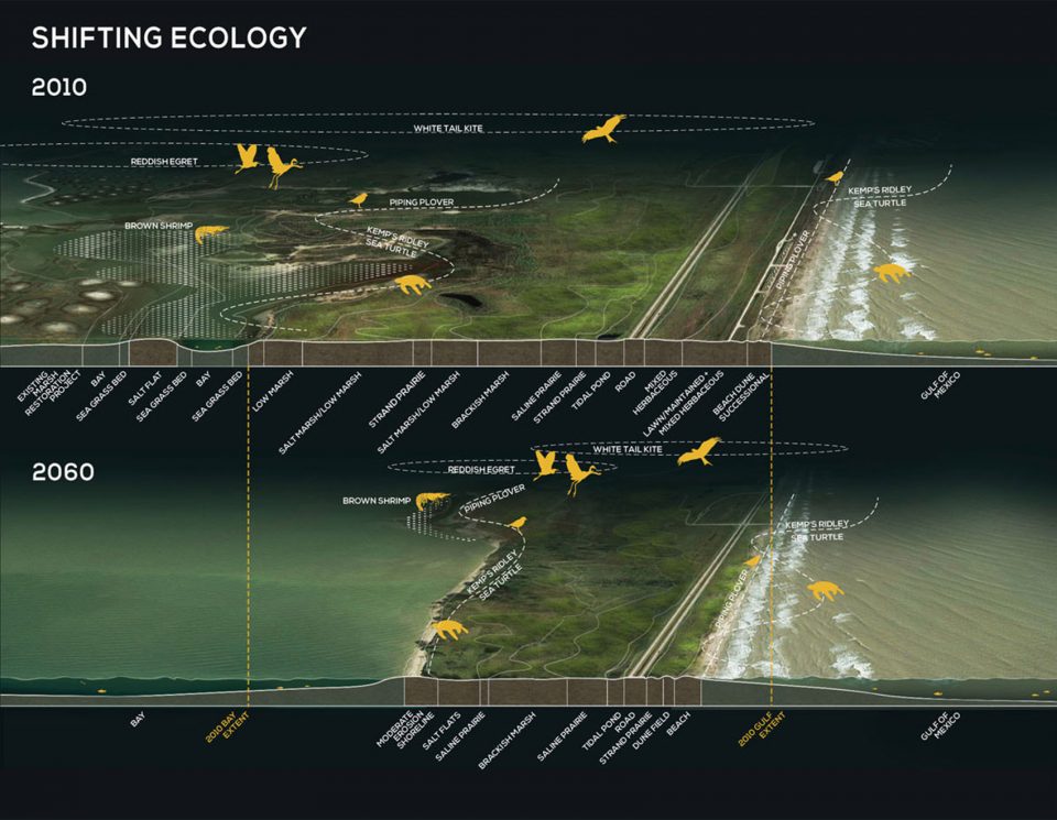 SHIFTING ECOLOGY GISP Studio Outside