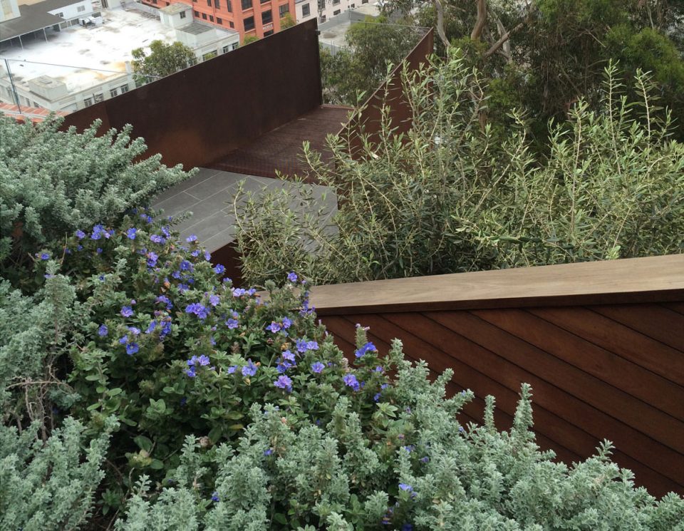 Telegraph Hill Residence Andrea Cochran Landscape Architecture