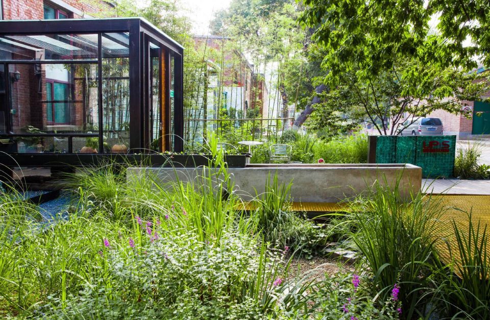 Rain Garden UpS 960x627