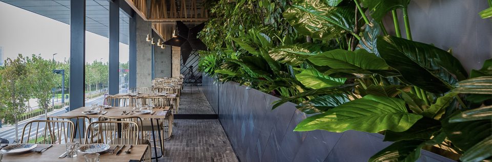 salsa nongchao restaurant china by guofei