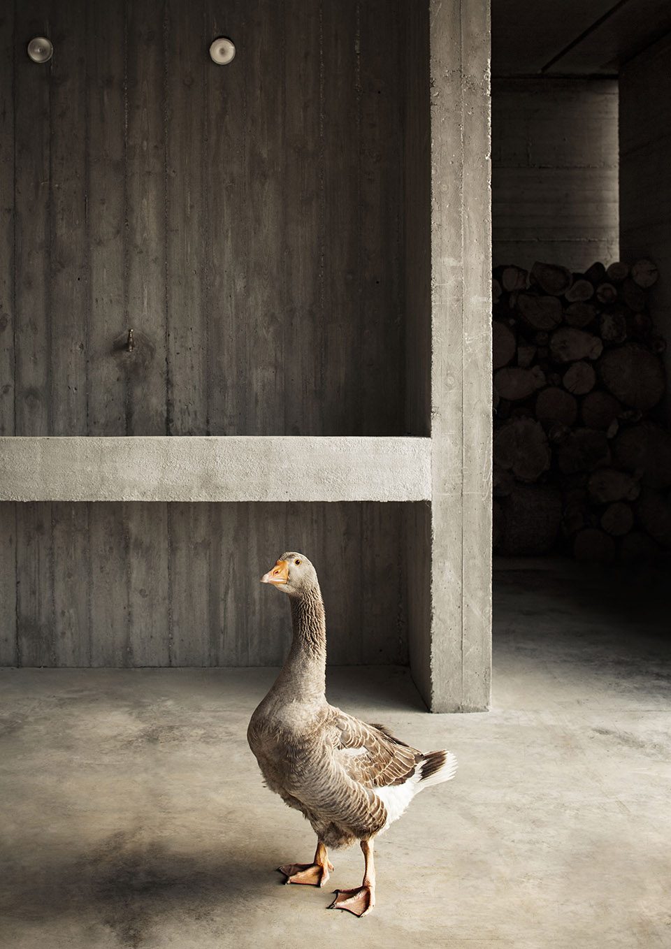 Agricultural machinery depot by deamicisarchitetti