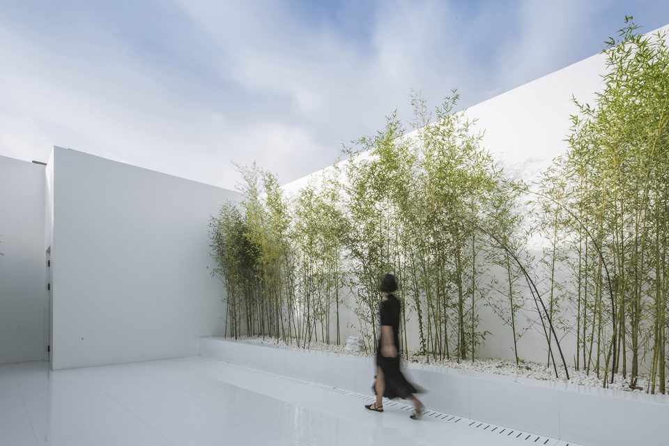 Bamboo Forest on the Roof By V STUDIO 960x640 1