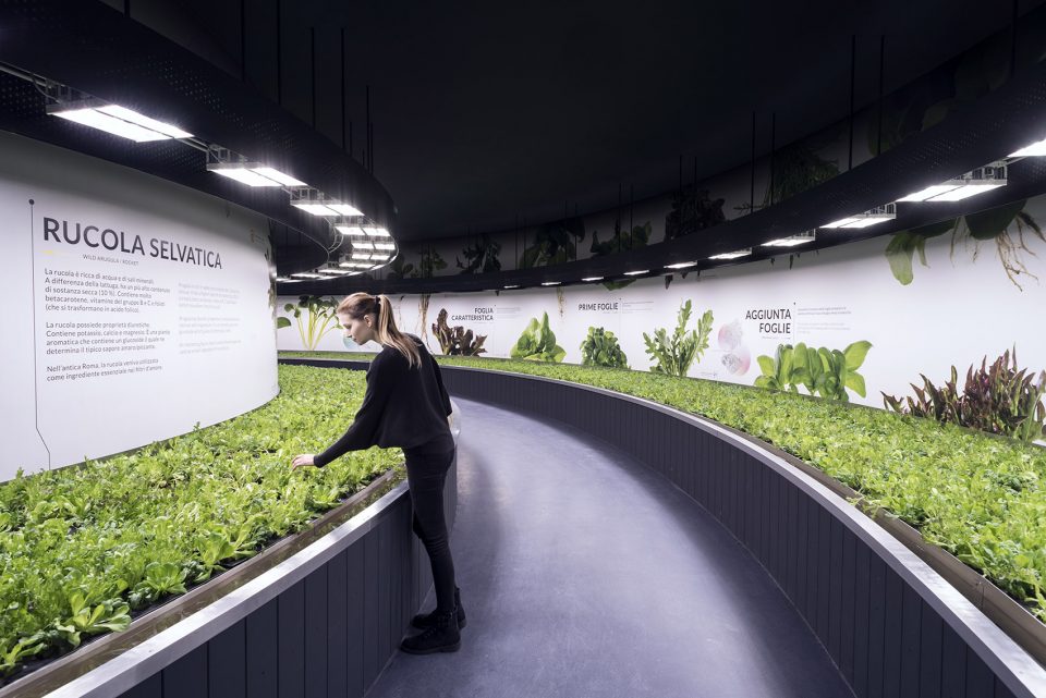 man and the future hortus by carlo ratti associati
