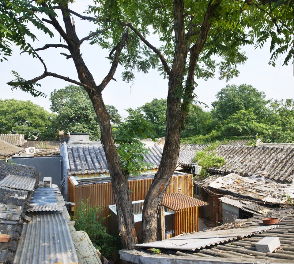 gooood interview shuhei aoyama hutong01