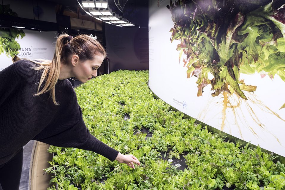 man and the future hortus by carlo ratti associati
