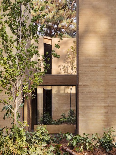 Entrepinos by Taller Hector Barroso