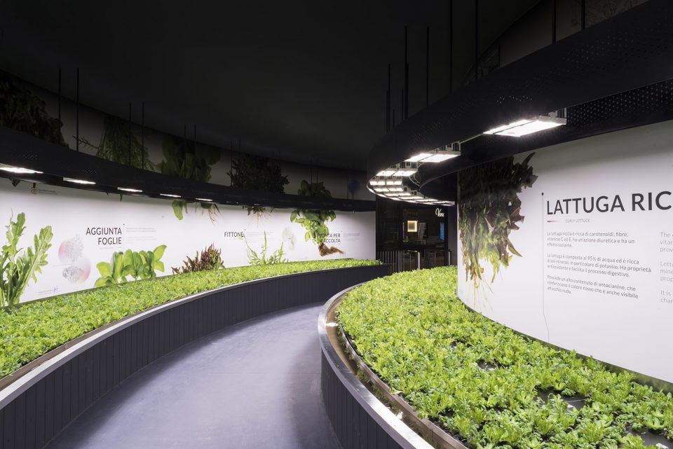 man and the future hortus by carlo ratti associati