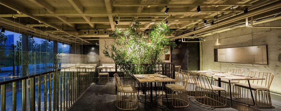 salsa nongchao restaurant china by guofei