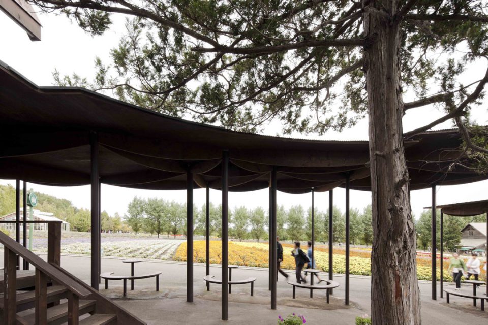 office fact 20 jun igarashi architects