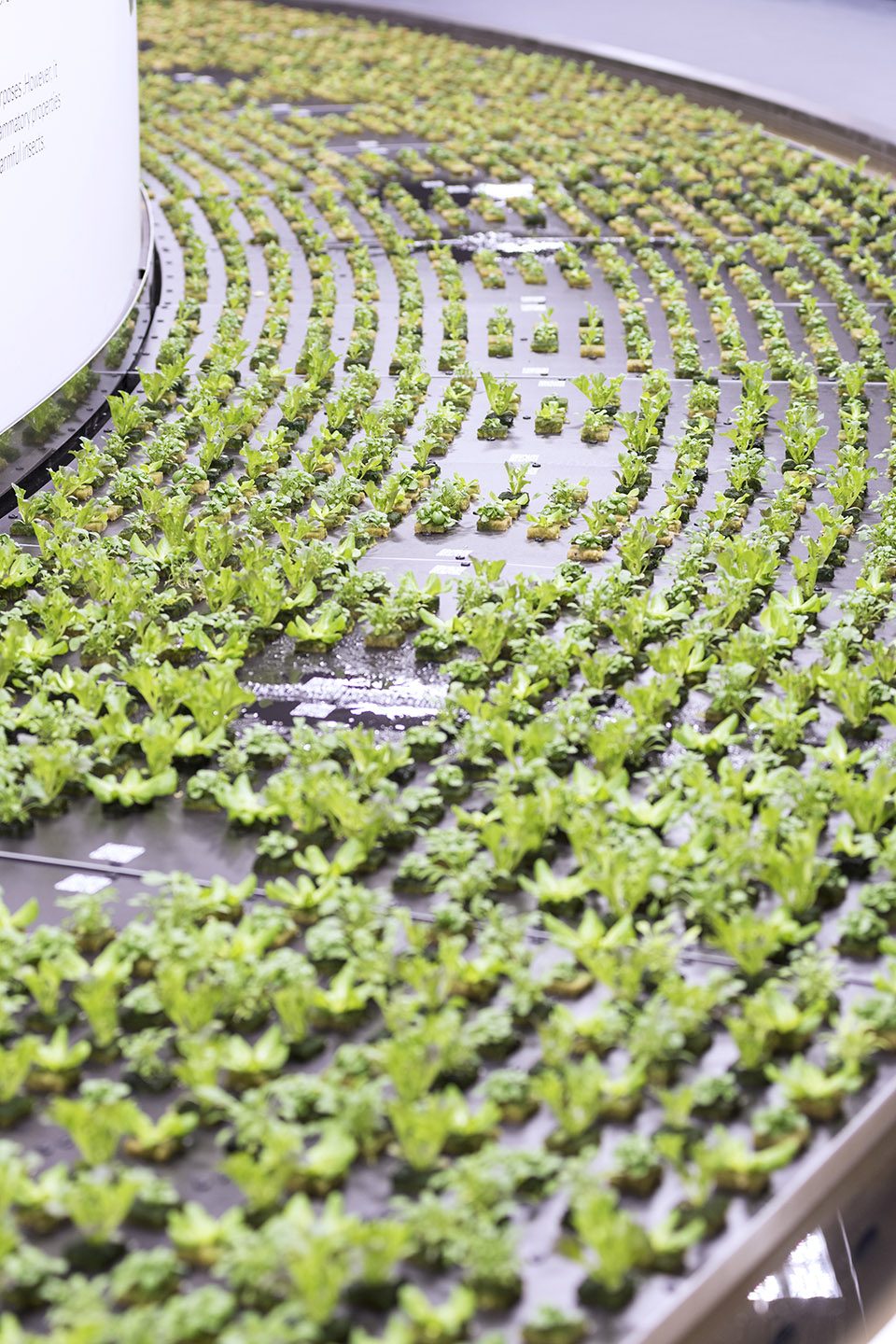 man and the future hortus by carlo ratti associati