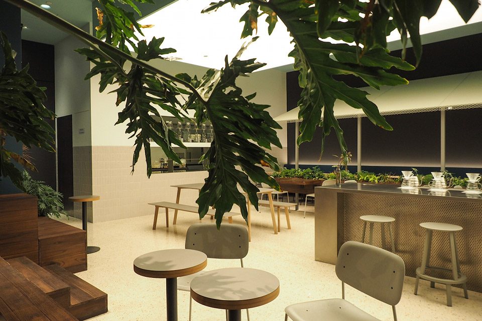 Seesaw Coffee China by nota Architects