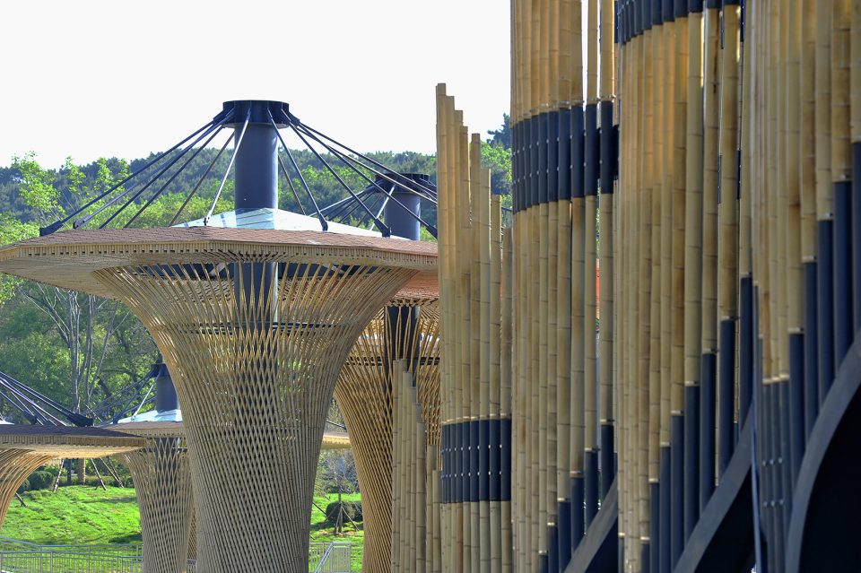 -Shenyang Forest ZOO Panda Pavilion -SJZU HA