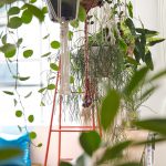 CHICHI办公室室内设计, 大阪 / koyori + atelier Salt