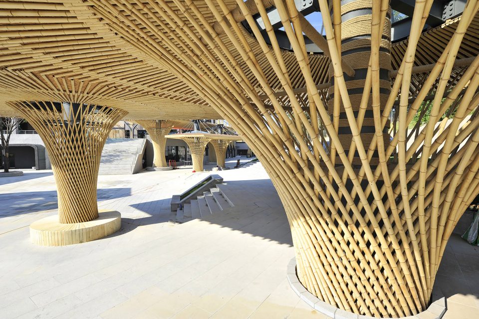 -Shenyang Forest ZOO Panda Pavilion -SJZU HA