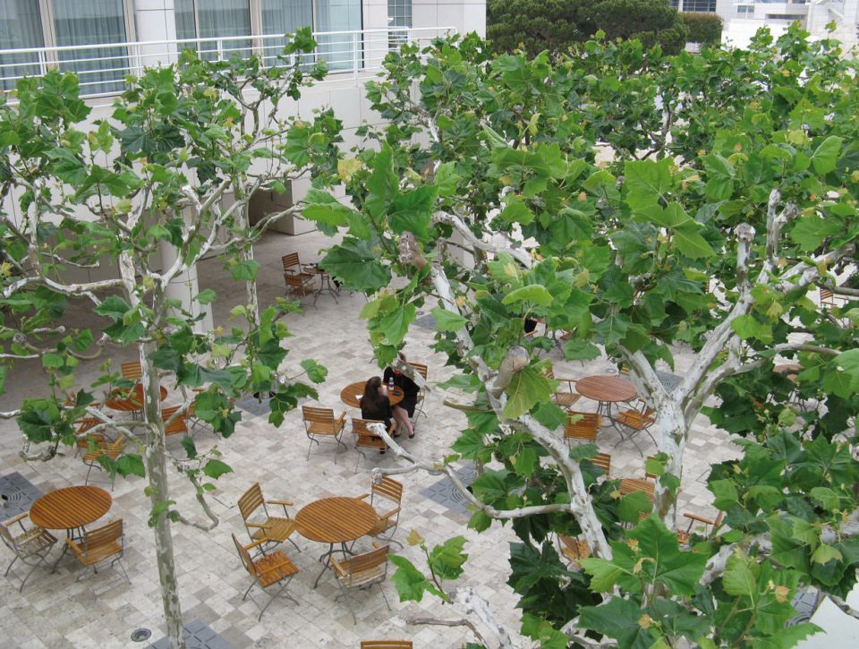 -Getty Center- OLIN