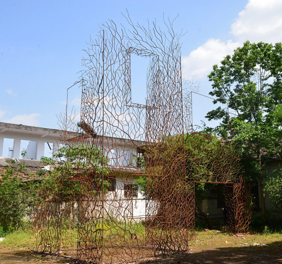 Home for Boston Ivy processing-HU Quanchun