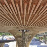 沈阳森林动物园熊猫馆 / 沈阳建筑大学HA＋建筑方案创意工作室