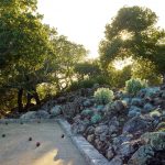 2017 ASLA 居住设计荣誉奖: 史密斯住宅景观设计, 加利福尼亚 / Roche + Roche Landscape Architecture