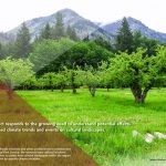 2017 ASLA 研究类荣誉奖：关于气候变化对太平洋西部地区国家公园体系的文化景观影响的研究 / Cultural Landscape Research Group, University of Oregon