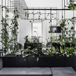 Candlefox新办公总部室内设计，墨尔本 / Tom Robertson Architects