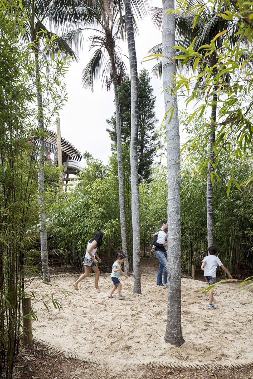 WILD PLAY-ASPECT Studios