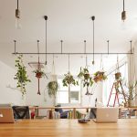 CHICHI办公室室内设计, 大阪 / koyori + atelier Salt