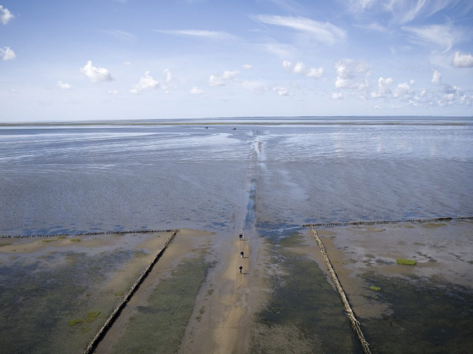 Wadden Sea Center-Marianne Levinsen Landskab ApS