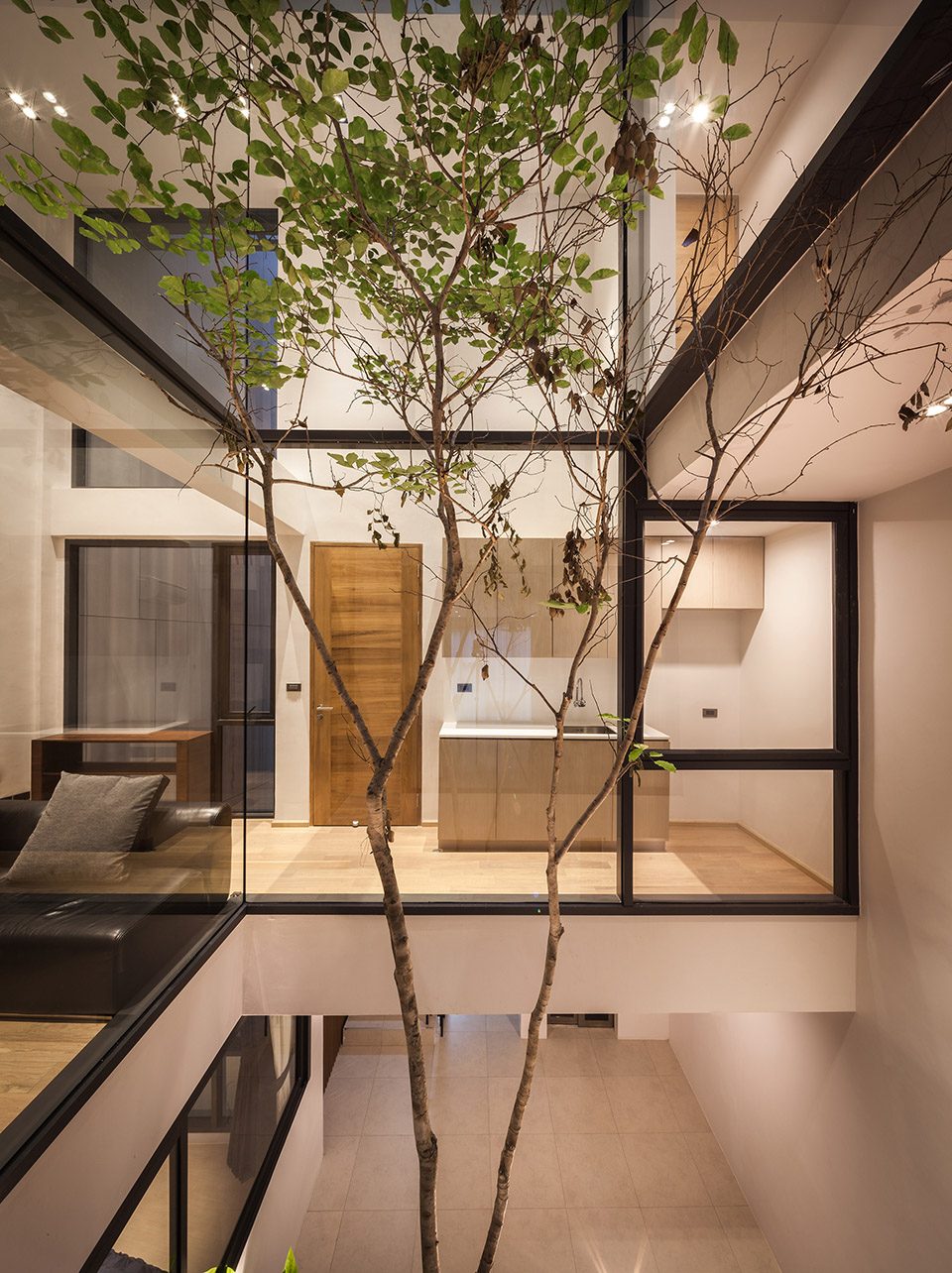 center core siri house idin archtects