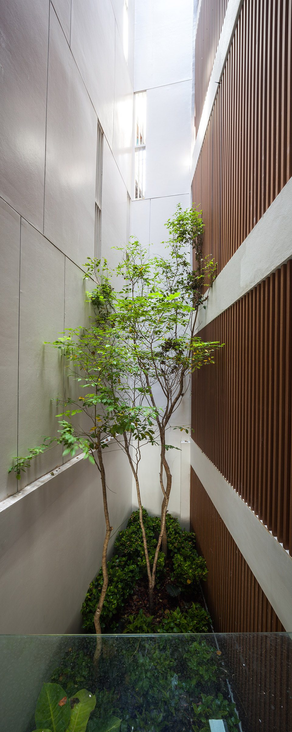 tree2 siri house idin archtects