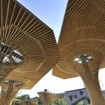 沈阳森林动物园熊猫馆 / 沈阳建筑大学HA＋建筑方案创意工作室