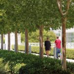 2017 ASLA 地标奖: 保罗盖蒂艺术中心, 洛杉矶 / OLIN