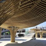 沈阳森林动物园熊猫馆 / 沈阳建筑大学HA＋建筑方案创意工作室
