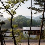 Review of the year – 2017 Young