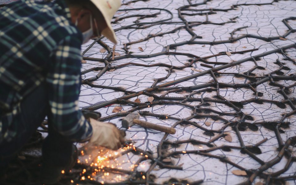 Home for Boston Ivy processing-HU Quanchun
