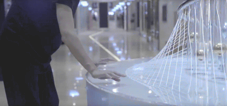 organ gif1