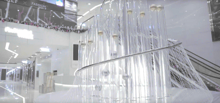 organ gif2