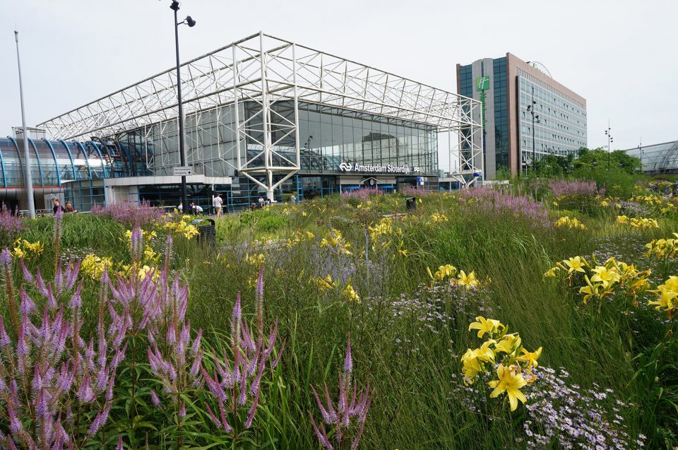 Orlysquare by City of Amsterdam Department of Environmental Planning and Sustainability