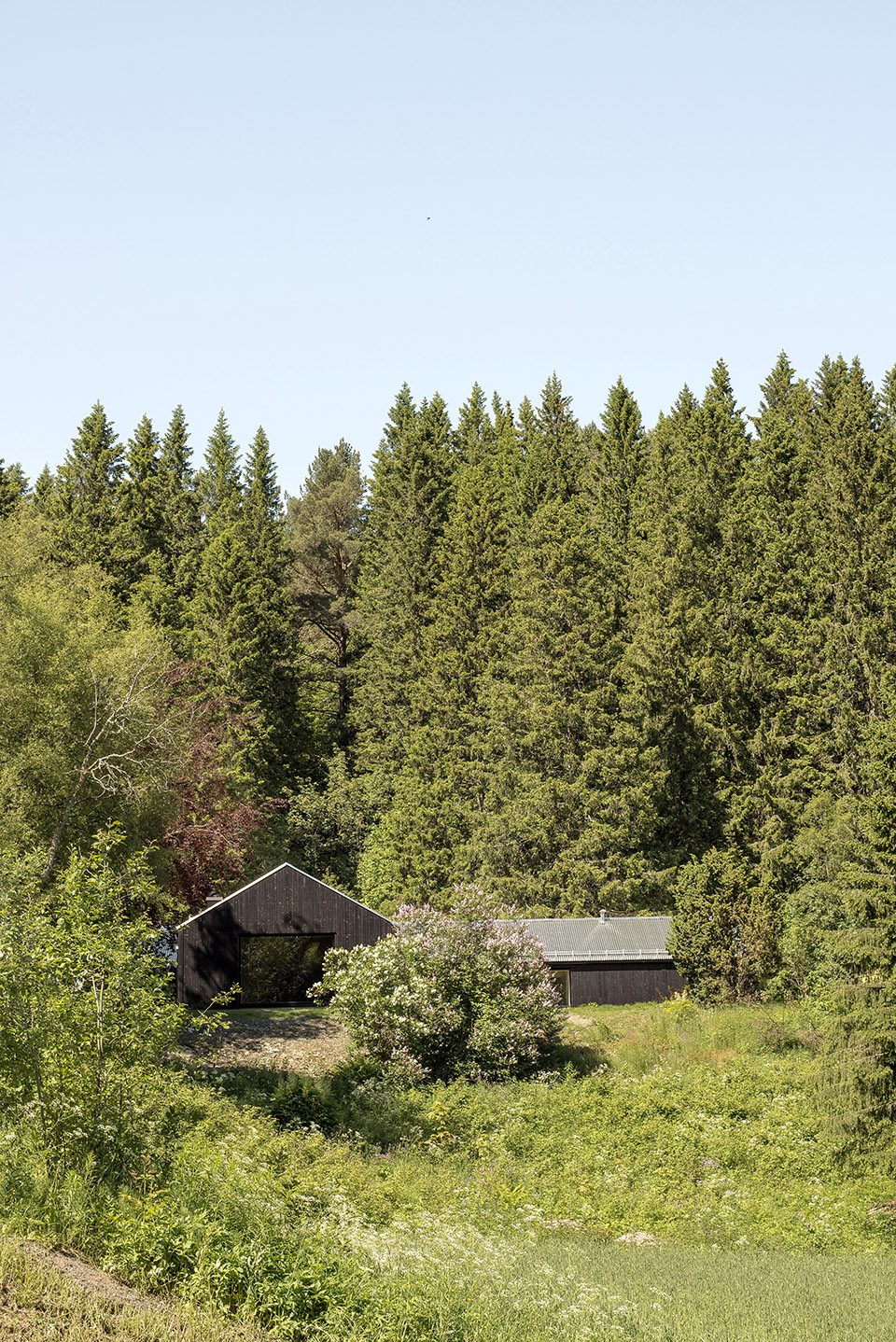 T house