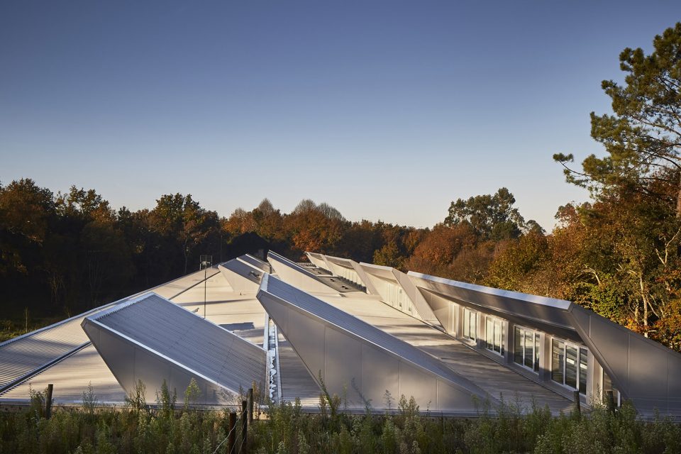 The Superior School of Design Management Production Technologies of Aveiro North ESAN by Joaquim morais Oliveira