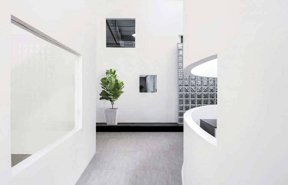 Dream Garden China by Mur Mur Lab